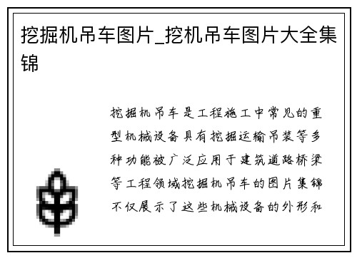 挖掘机吊车图片_挖机吊车图片大全集锦