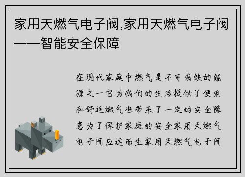 家用天燃气电子阀,家用天燃气电子阀——智能安全保障